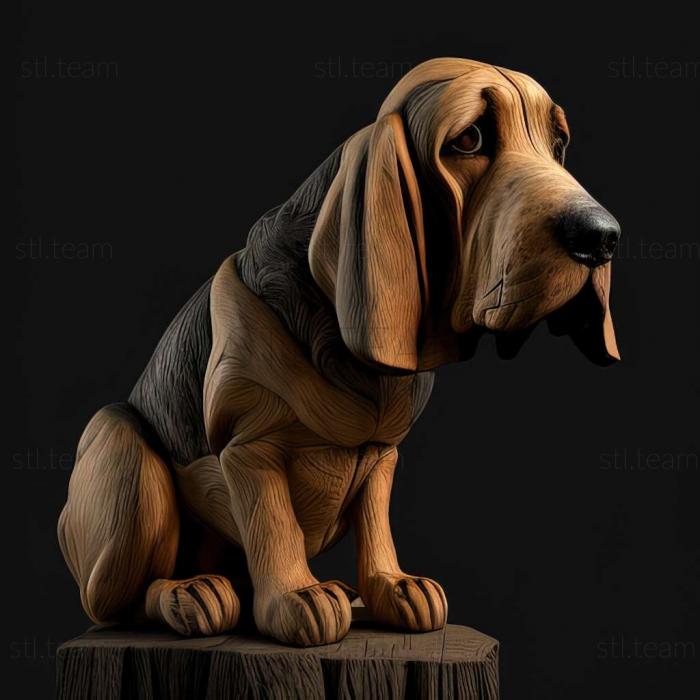 Animals Bloodhound dog